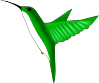 Humming Bird Clip Art