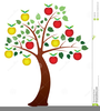 Clipart Apple Tree Image