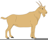 Brown Clipart Image