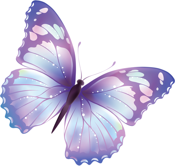 butterfly clipart no background - photo #4