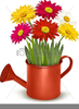 Clipart Watering Can Image