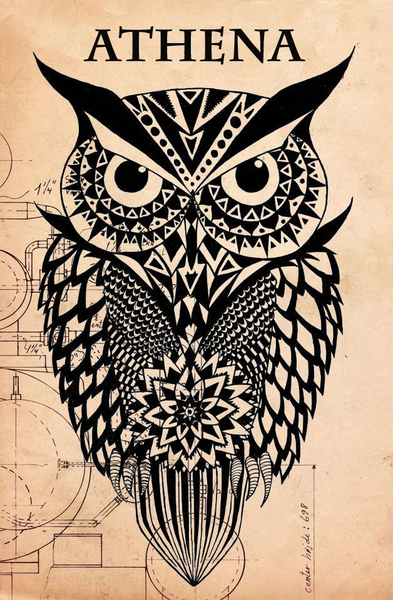 Athena Symbol Owl | Free Images at Clker.com - vector clip art online