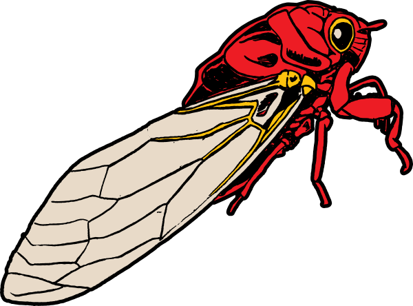 Cicada Free Png And Vector Picaboo Free Vector Images