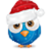 Christmas Bird 3 Image