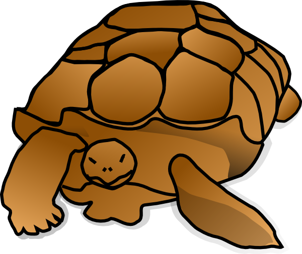 Turtle Cartoon Clip Art at  - vector clip art online, royalty free  & public domain