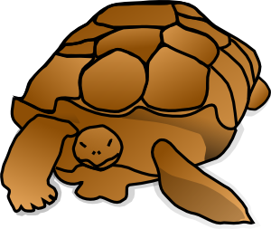 Turtle Cartoon Clip Art