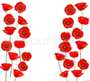 Find Clipart For Poppies Image