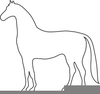 Horse Outline Clipart Image