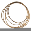 Lariat Rope Clipart Image