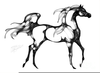 Free Clipart Of Horses Heads Image
