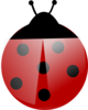 Ladybug Clip Art