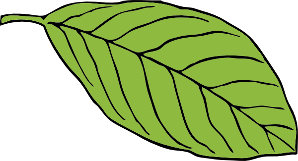 leaf cartoon clip art - photo #16