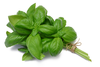 Spice And Herb Clipart Image