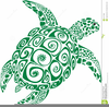 Hawaiian Turtles Clipart Image