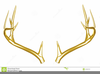 Deer Horn Clipart Image