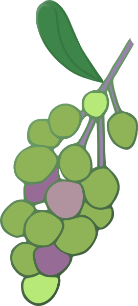 clipart green grapes - photo #15