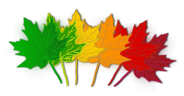 maple leaves clipart - photo #3