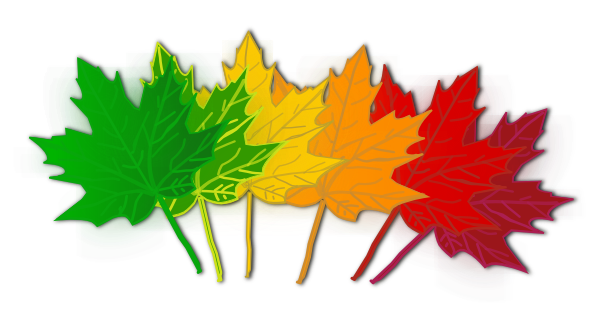 clipart maple leaf - photo #16