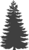 Dark Gray Pine Tree Clip Art