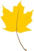 Yellowleaf Image