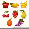 Printable Fruit Clipart Image