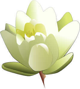Leland Mcinnes Water Lily Clip Art