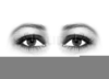 Eyes Looking Clipart Free Image