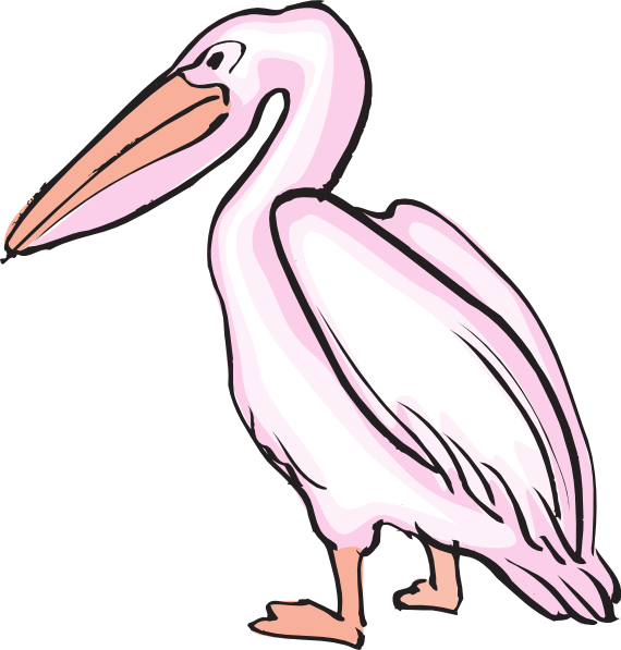 clipart cartoon pelicans - photo #24