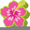 Free Clipart Hawaiian Theme Image