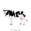 Clipart For Milk Cows Image