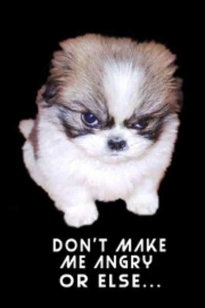 [Image: 13683172801263067545angry-puppy-l-hi.png]