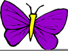 Butterfly Animated Clipart Image