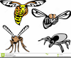 Royalty Free Mosquito Clipart Image