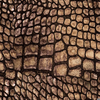 Crocodile Leather Texture Image