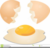 Broken Egg Clipart Image