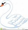 Baby Swan Clipart Image
