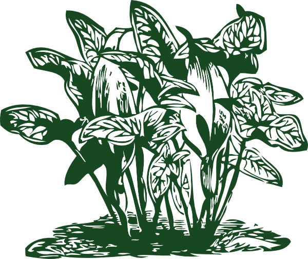 plant clip art. Tropical Plants clip art