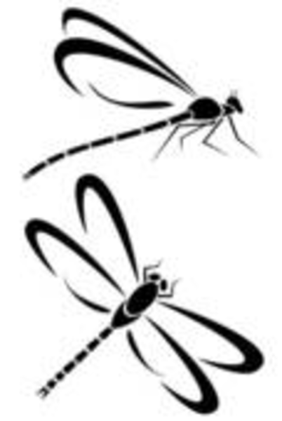 Dragonflies image - vector clip art online, royalty free & public domain