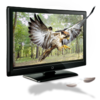 3d Eagle Icon Image