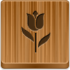 Tulip Icon Image