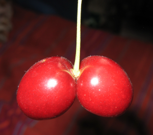 Cherry Double Image