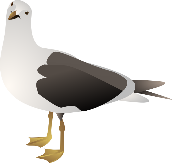 free clip art seagull cartoon - photo #3