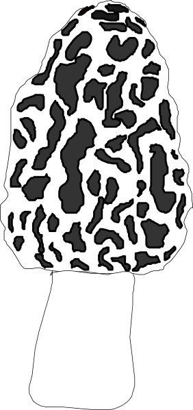 morel mushroom clip art - photo #1