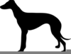 Greyhound Racing Clipart Image