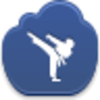 Karate Icon Image