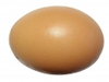 Egg On White Background Thumb Image