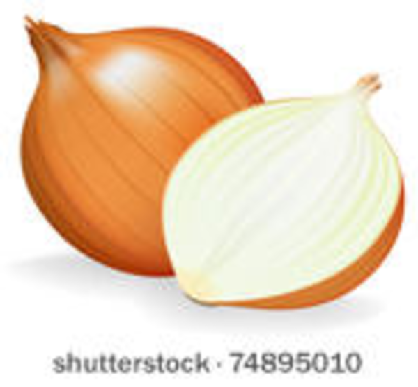 clipart of onion - photo #28