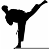 Free Mixed Martial Arts Clipart Image