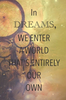 Dumbledore Quotes Dreams Image
