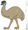 Emu Cartoon Clipart Image